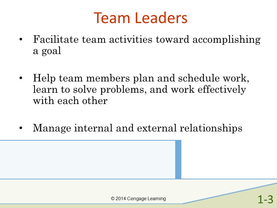 Team Leaders Facilitate team activities toward accomplishing a goal.