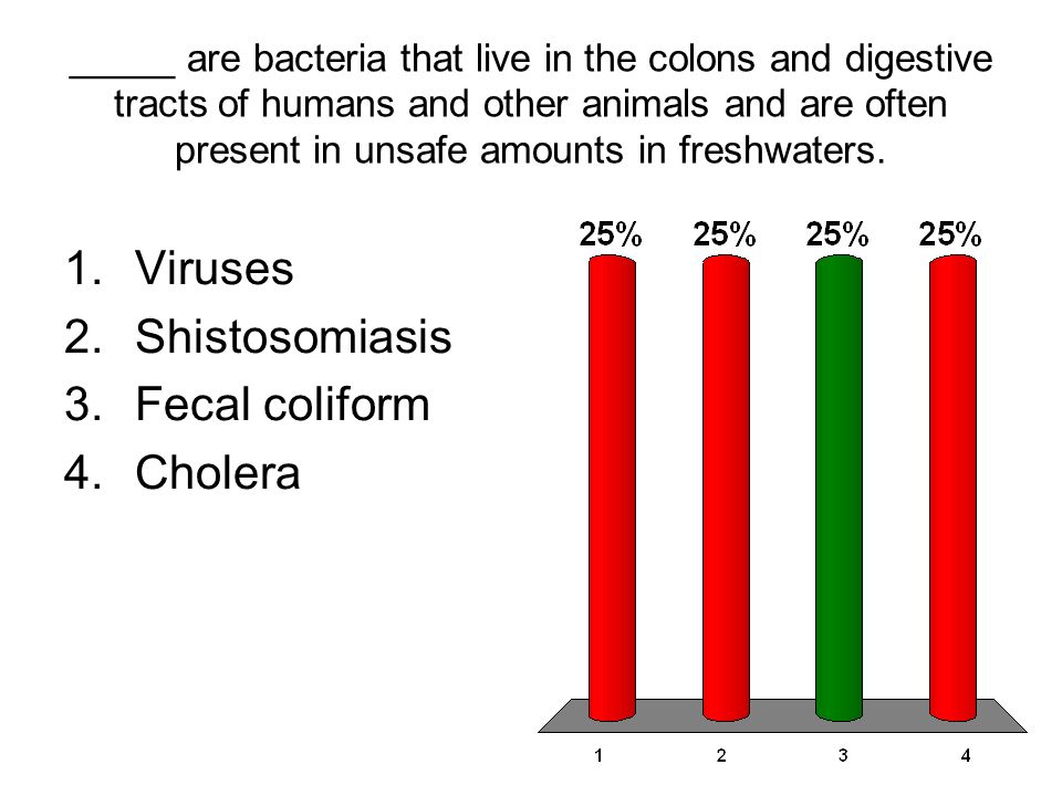 Viruses Shistosomiasis Fecal coliform Cholera