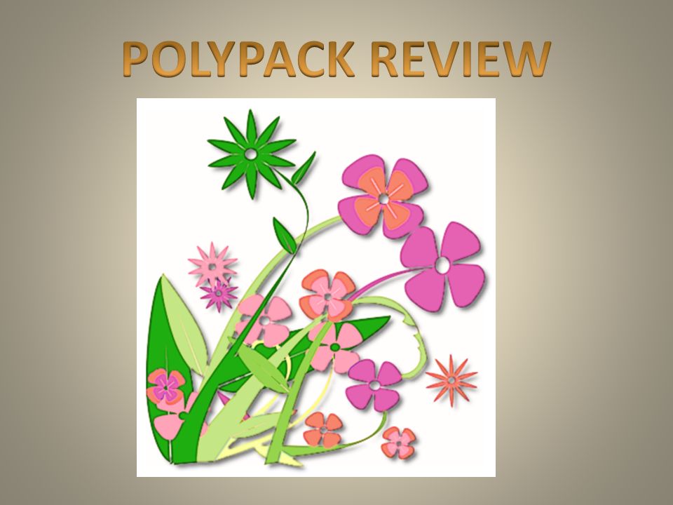 POLYPACK REVIEW