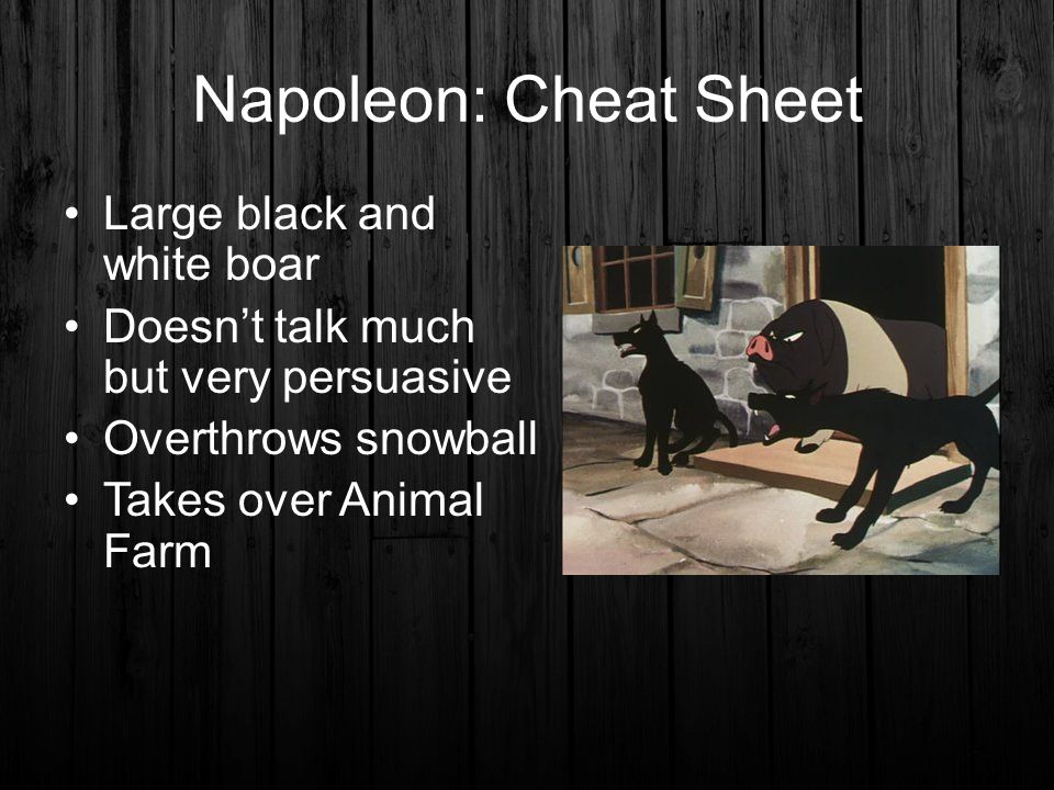 Animal Farm: Characters - ppt video online download