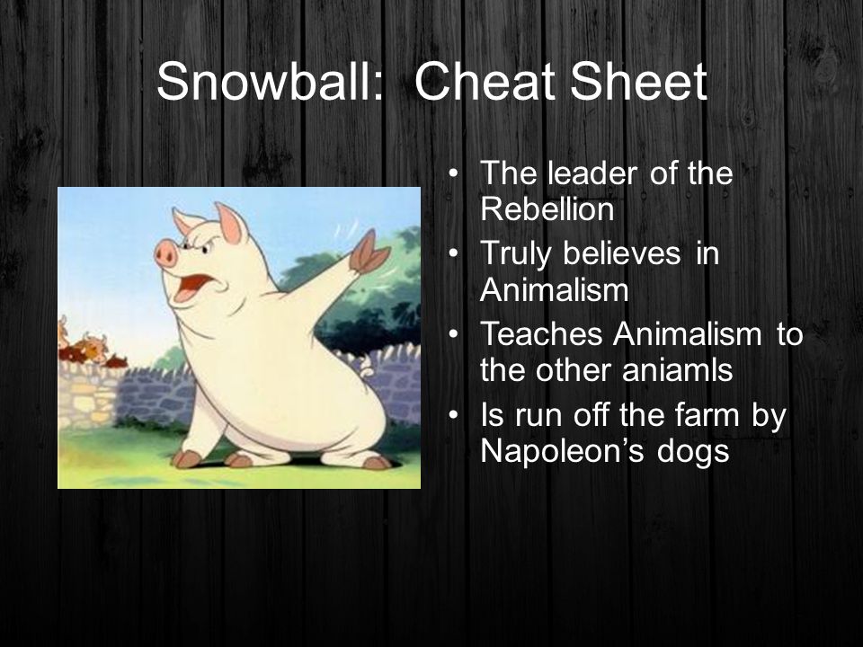 Animal Farm: Characters - ppt video online download