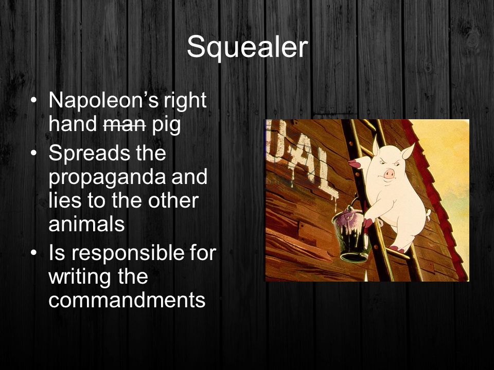 how does napoleon use propaganda in animal farm