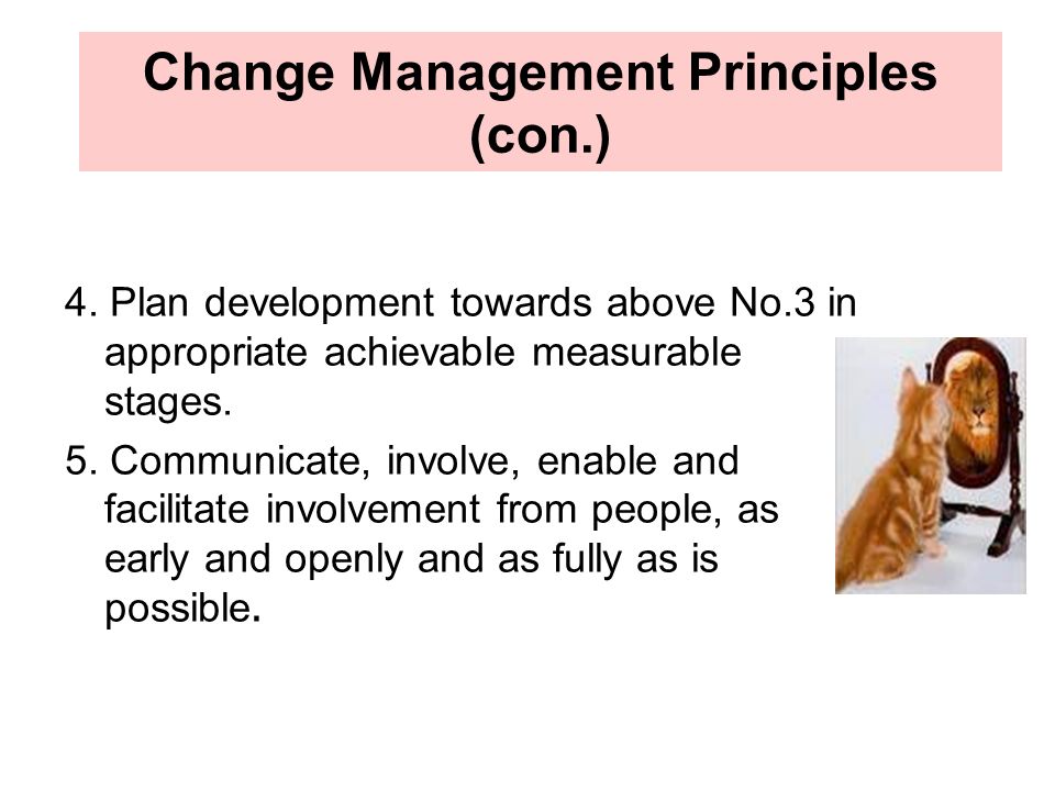 Change Management Principles (con.)