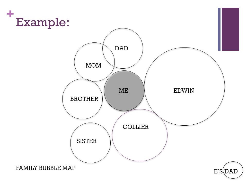 Example: DAD MOM ME EDWIN BROTHER COLLIER SISTER FAMILY BUBBLE MAP