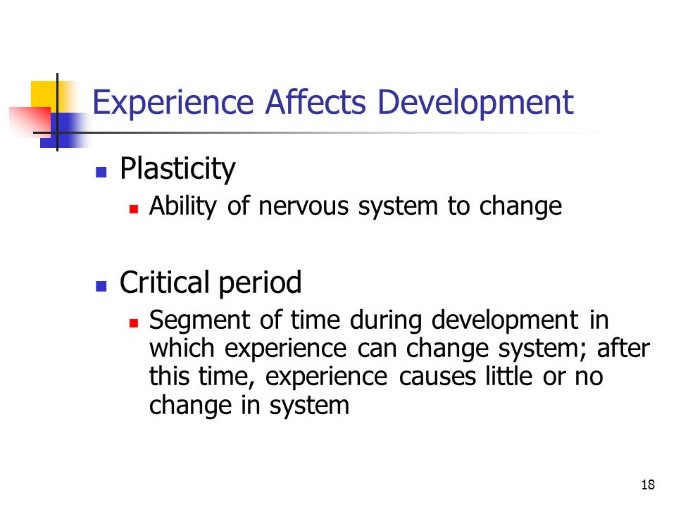 Experience Affects Development