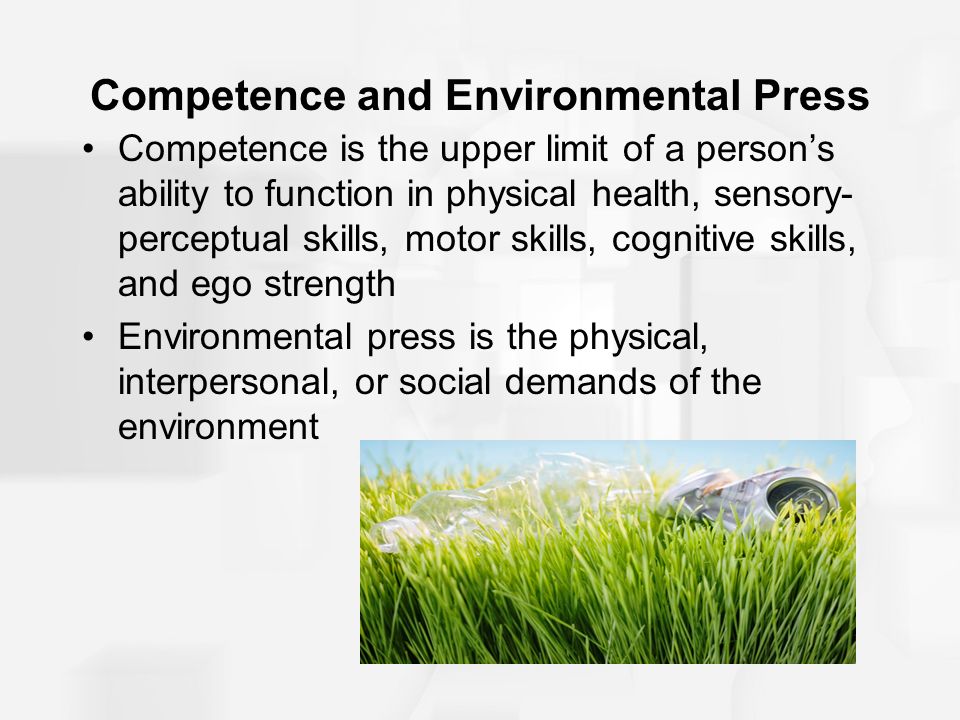 Competence and Environmental Press