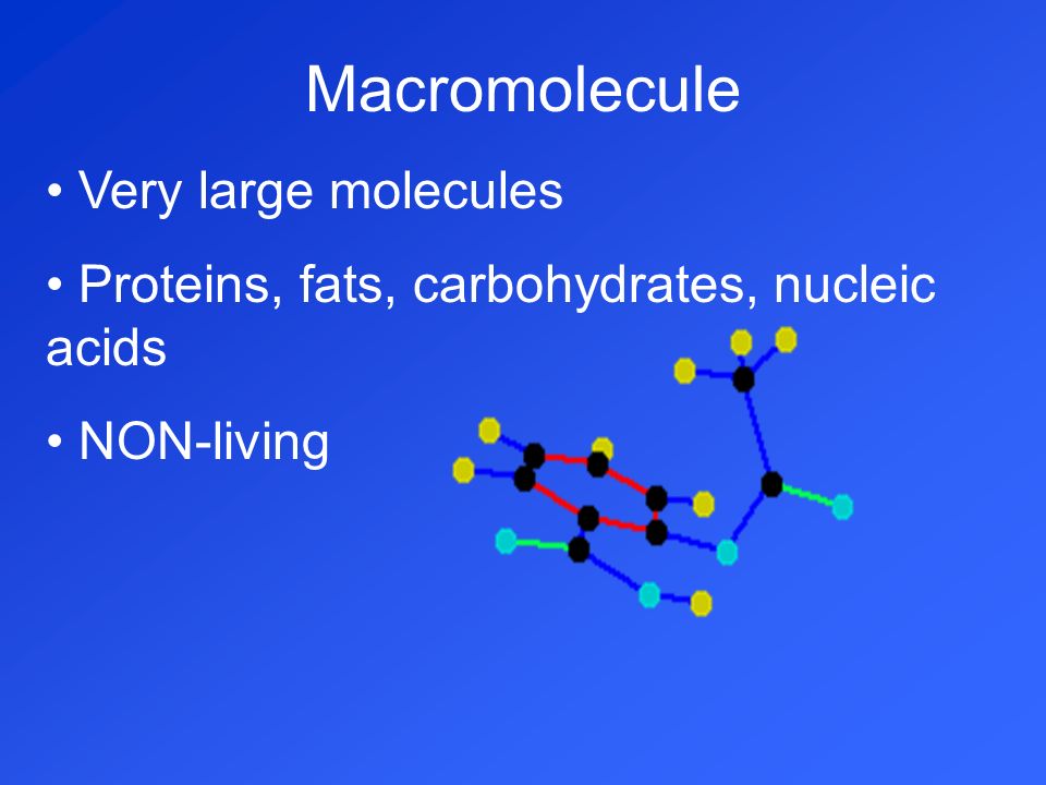 Macromolecule Very large molecules