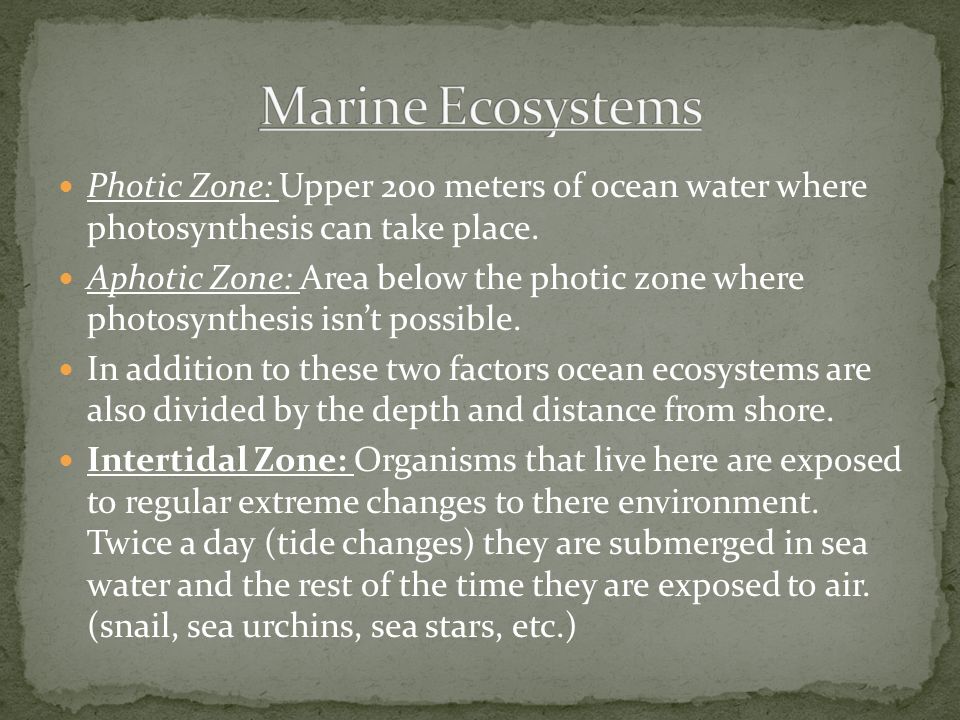 Marine Ecosystems Photic Zone: Upper 200 meters of ocean water where photosynthesis can take place.