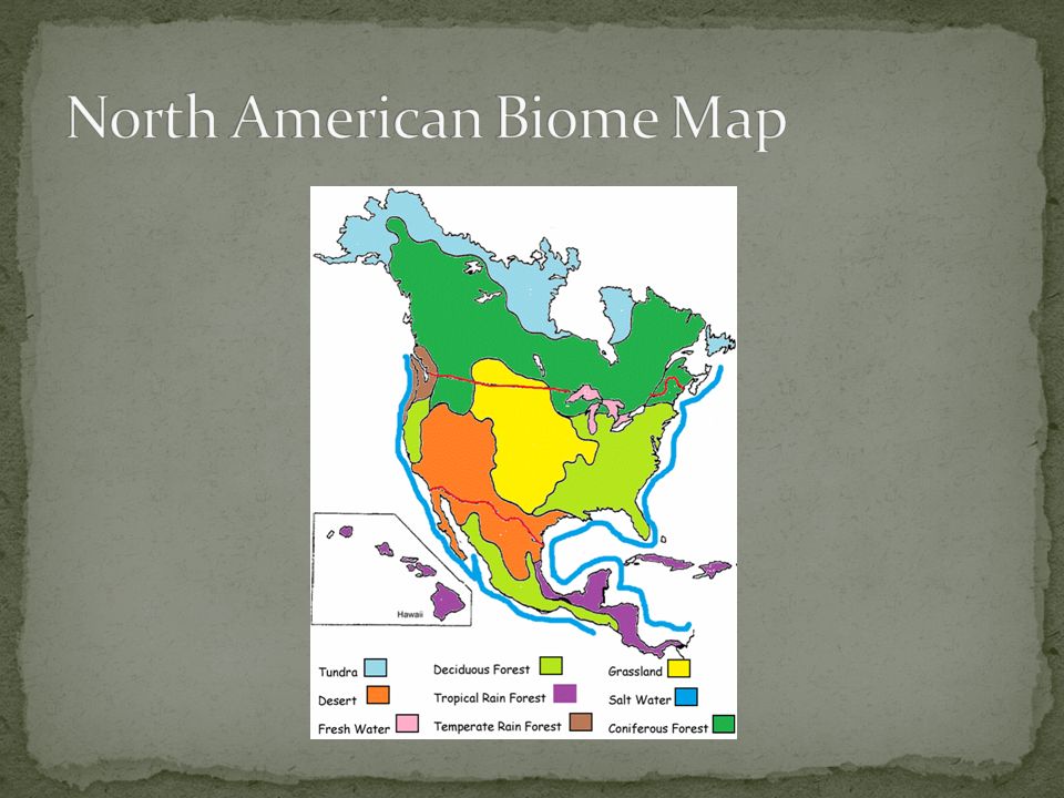 North American Biome Map