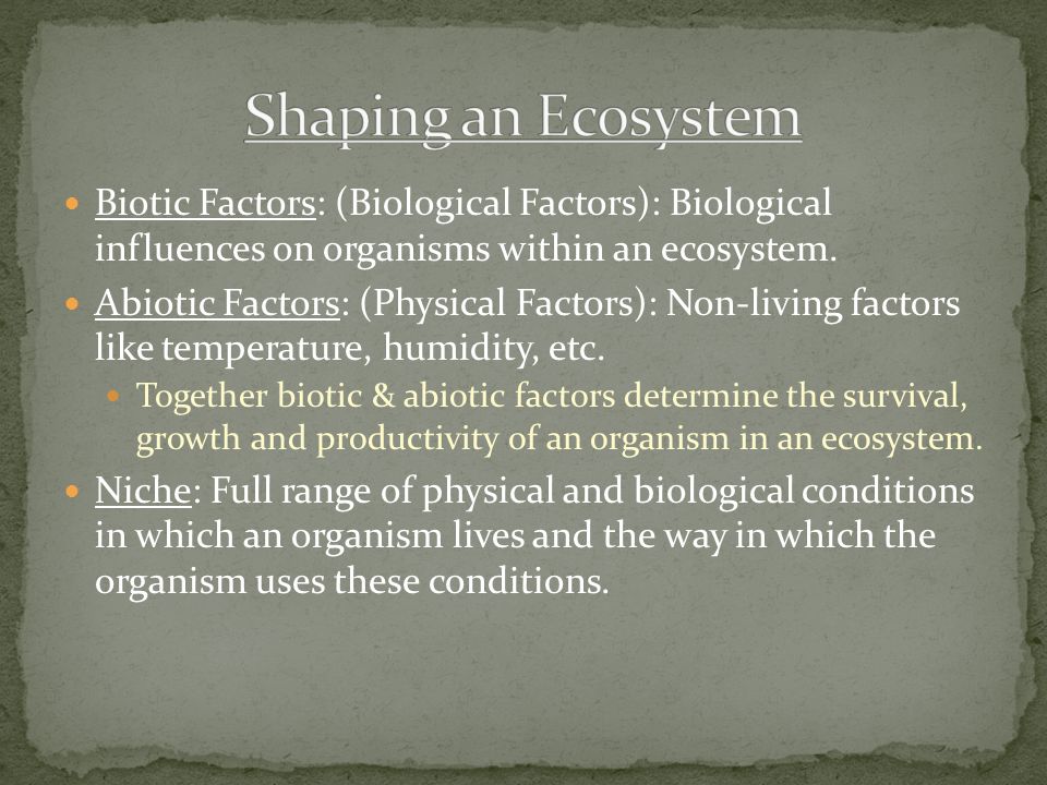 Shaping an Ecosystem Biotic Factors: (Biological Factors): Biological influences on organisms within an ecosystem.