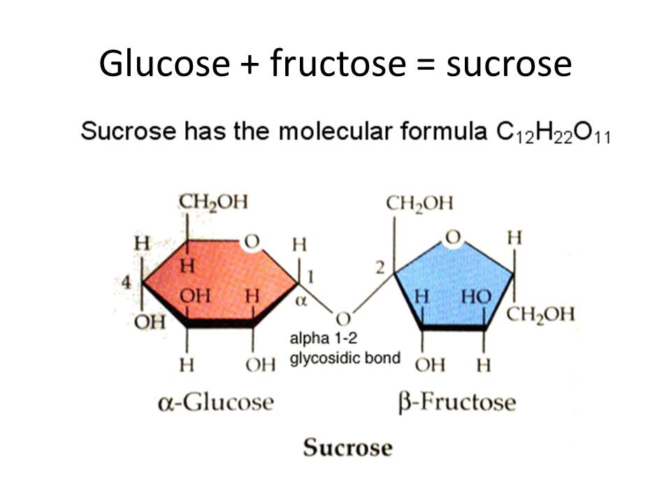 Glucose + fructose = sucrose.