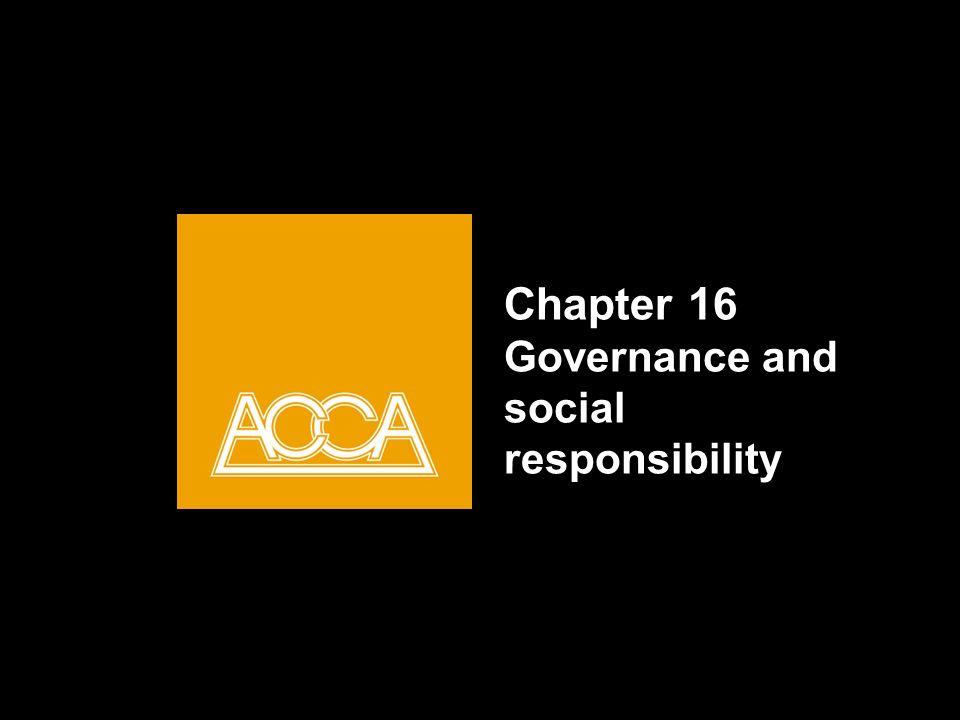 Chapter 16 Governance and social responsibility