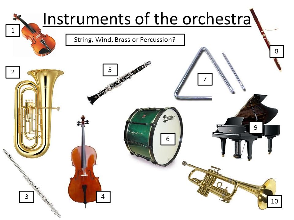Orchestra instruments