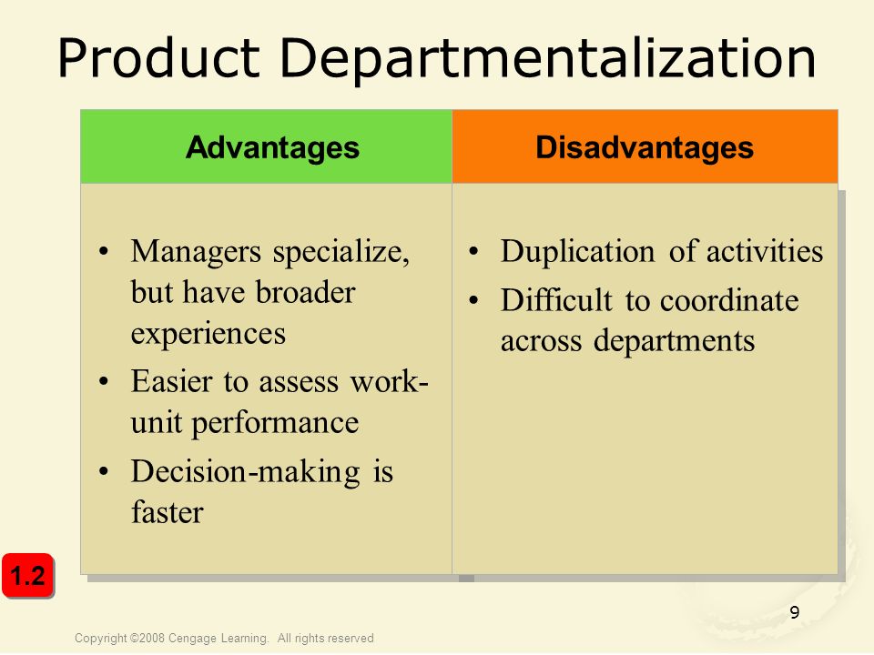 process departmentalization advantages and disadvantages