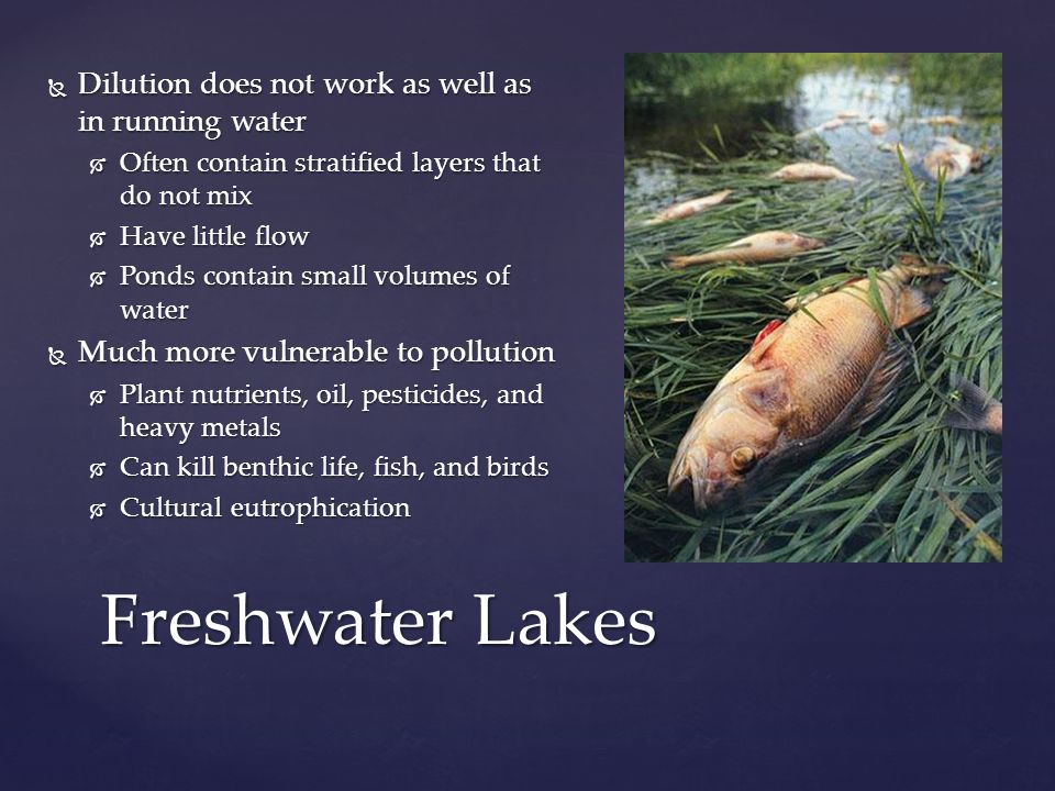 Freshwater Lakes Dilution does not work as well as in running water