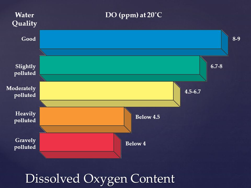 Dissolved Oxygen Content