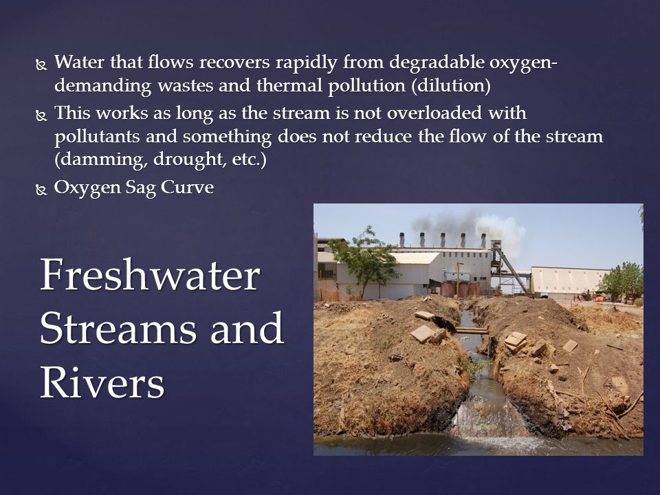 Freshwater Streams and Rivers