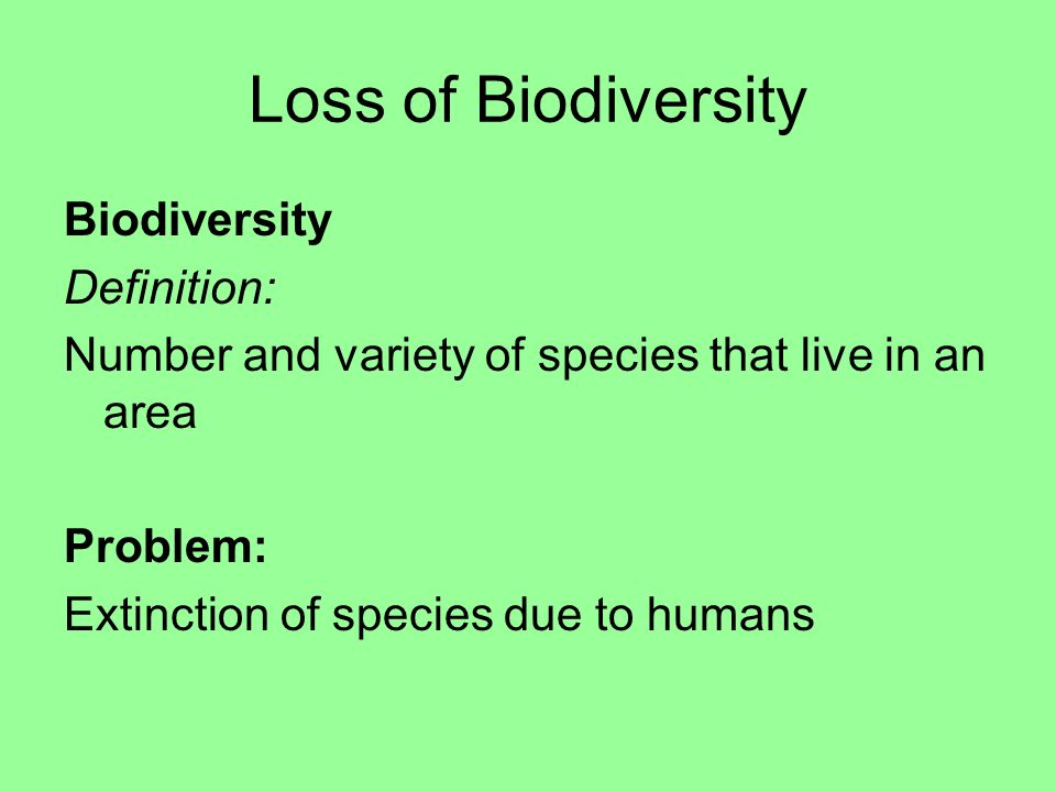 Loss of Biodiversity Biodiversity Definition: