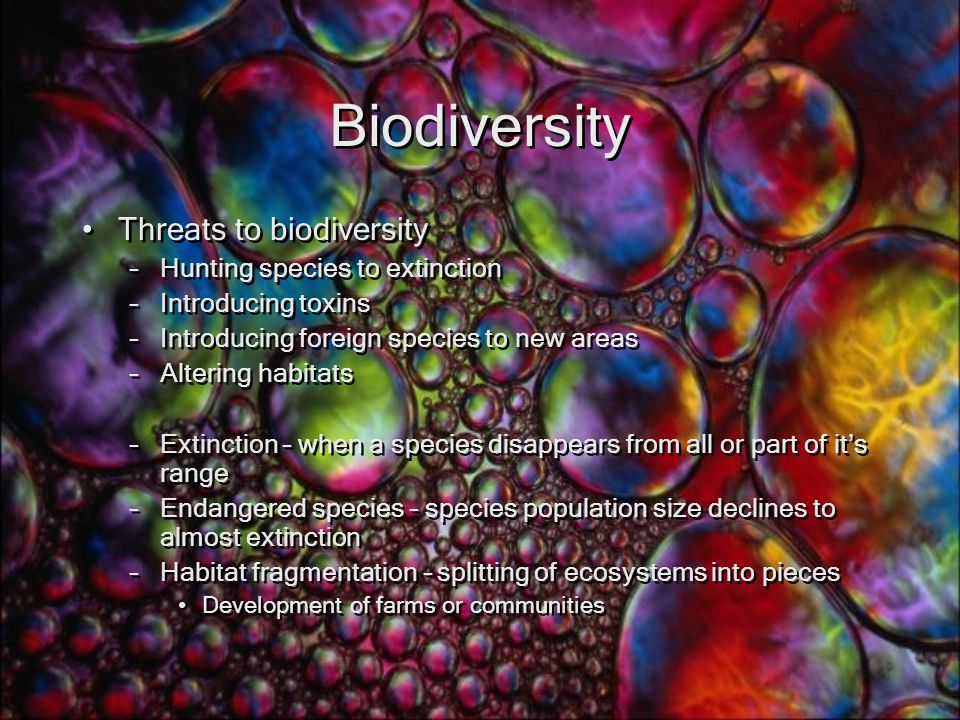 Biodiversity Threats to biodiversity Hunting species to extinction