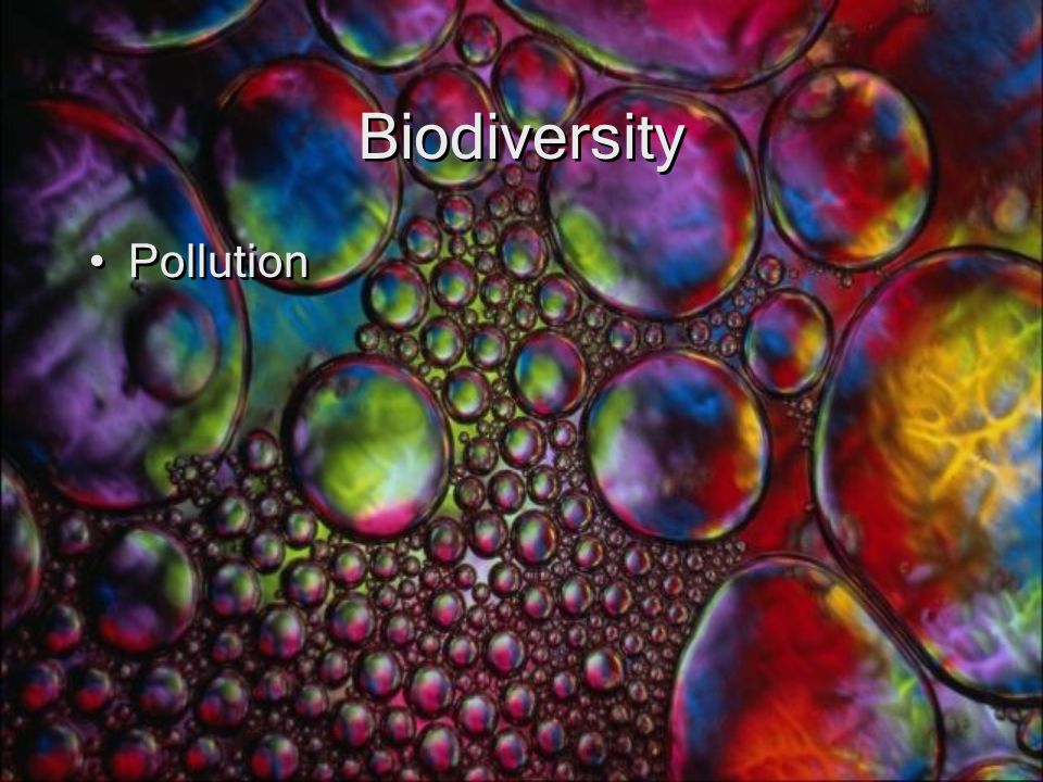 Biodiversity Pollution