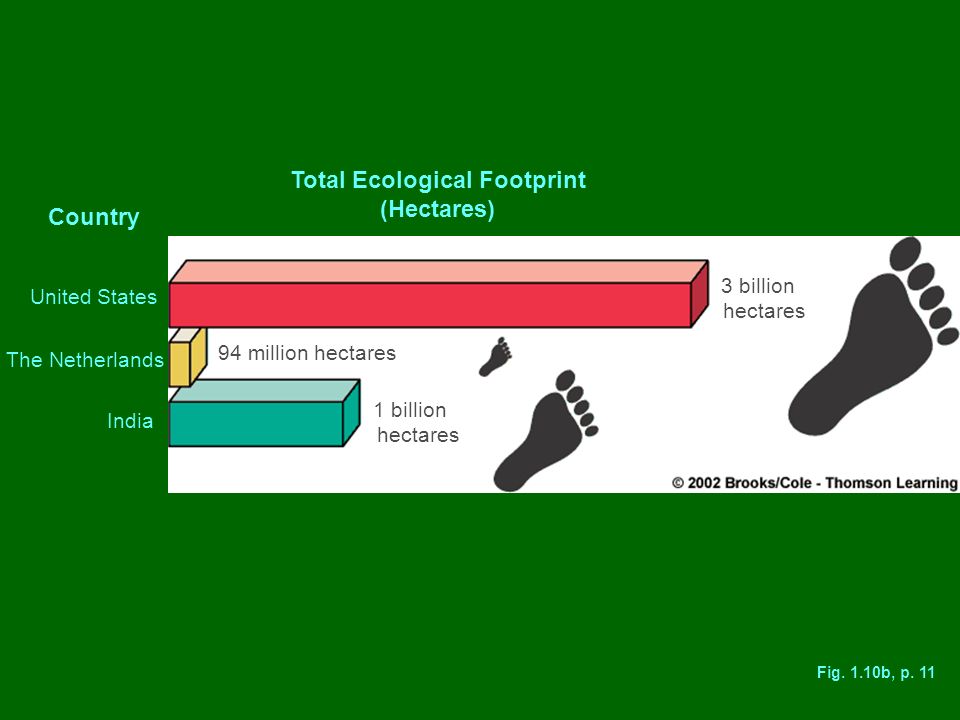 Total Ecological Footprint