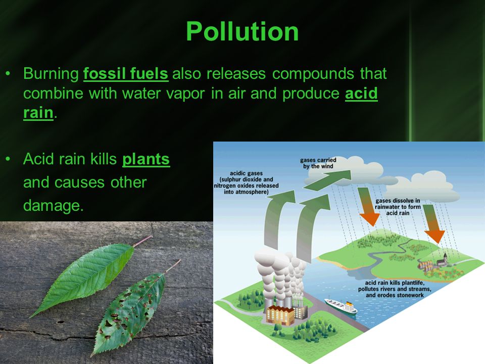 Pollution Burning fossil fuels also releases compounds that combine with water vapor in air and produce acid rain.