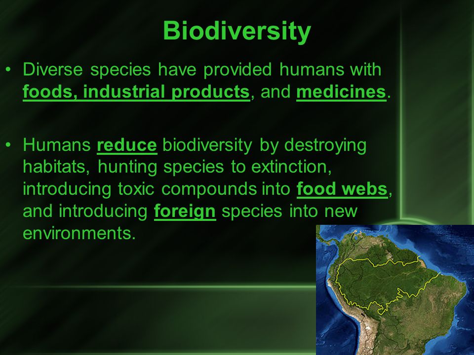 Biodiversity Diverse species have provided humans with foods, industrial products, and medicines.