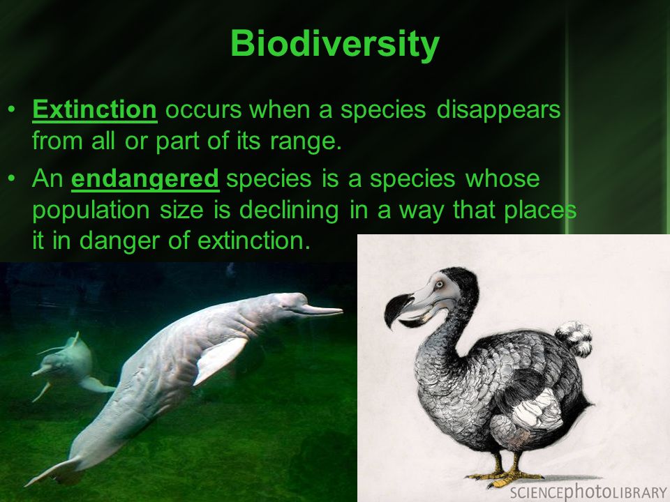 Biodiversity Extinction occurs when a species disappears from all or part of its range.