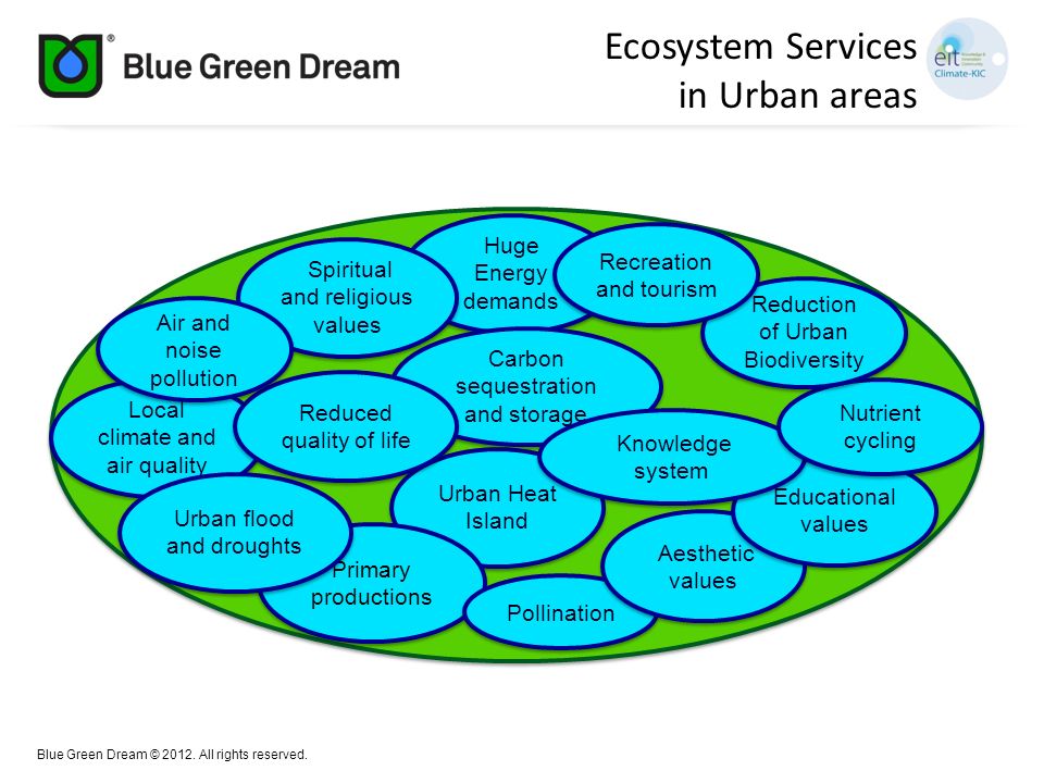 Ecosystem Services in Urban areas Huge Energy demands