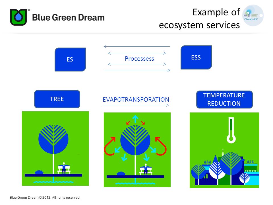 Example of ecosystem services ESS ES Processess TEMPERATURE TREE