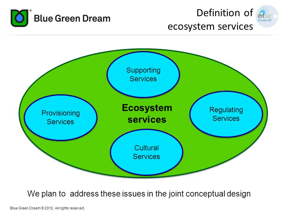 Definition of ecosystem services Ecosystem services