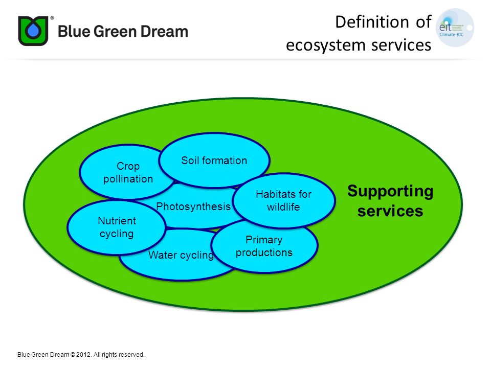 Definition of ecosystem services Supporting services Soil formation