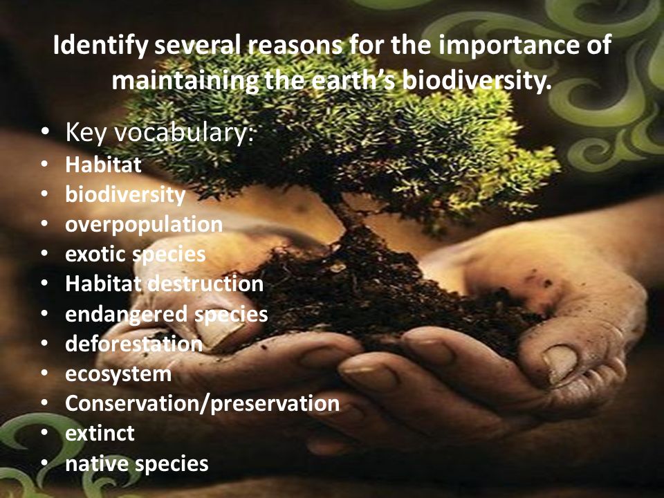 III. Benefits of Habitat Conservation for Biodiversity