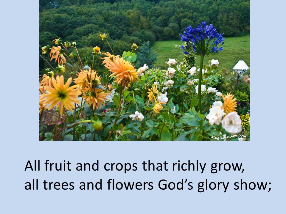 All fruit and crops that richly grow,