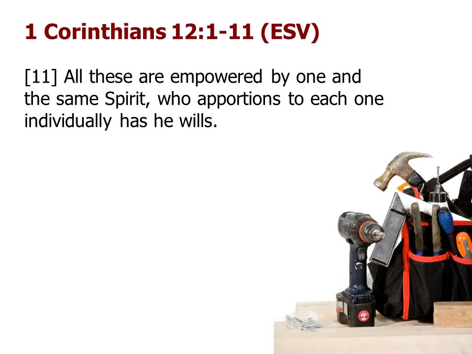 1 Corinthians 12:1-11 (ESV) [11] All these are empowered by one and the same Spirit, who apportions to each one individually has he wills.