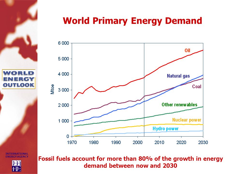 World Primary Energy Demand