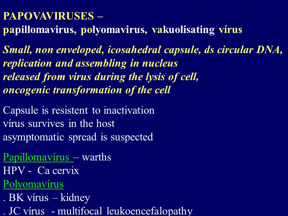 alfa papillomavírusok parazita kivonatok