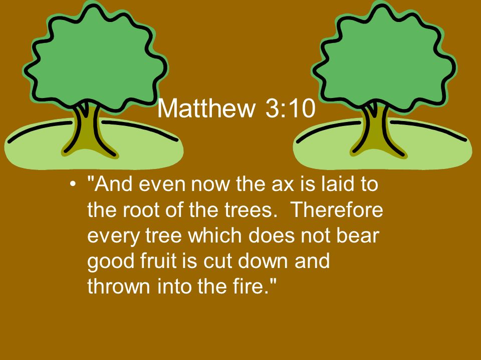 Uma árvore é conhecida pelo seu fruto matthew