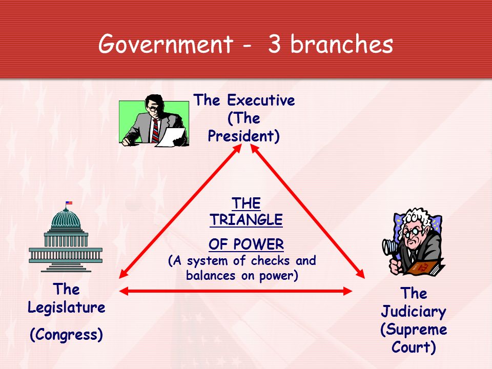 Government - 3 branches The Executive (The President) The Legislature