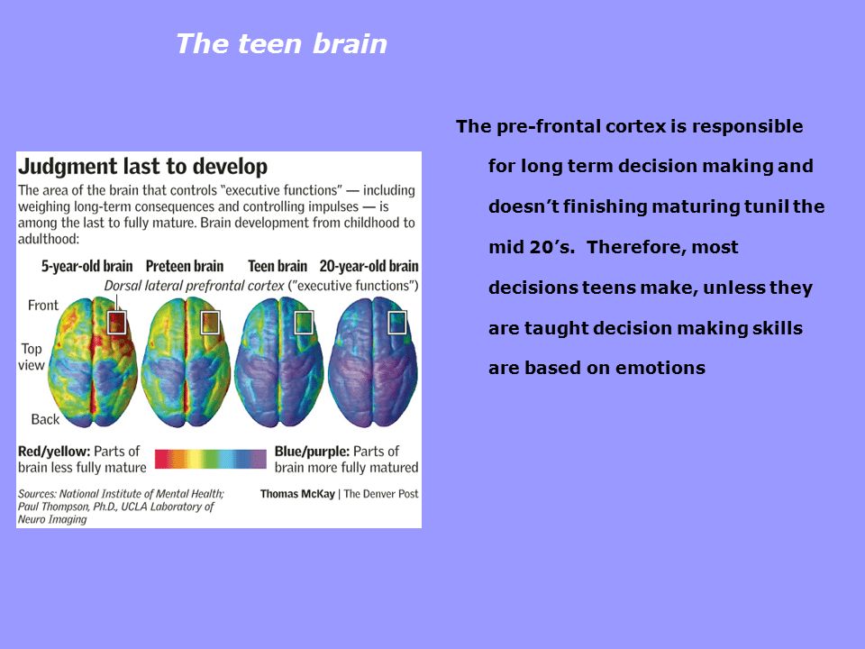 The teen brain