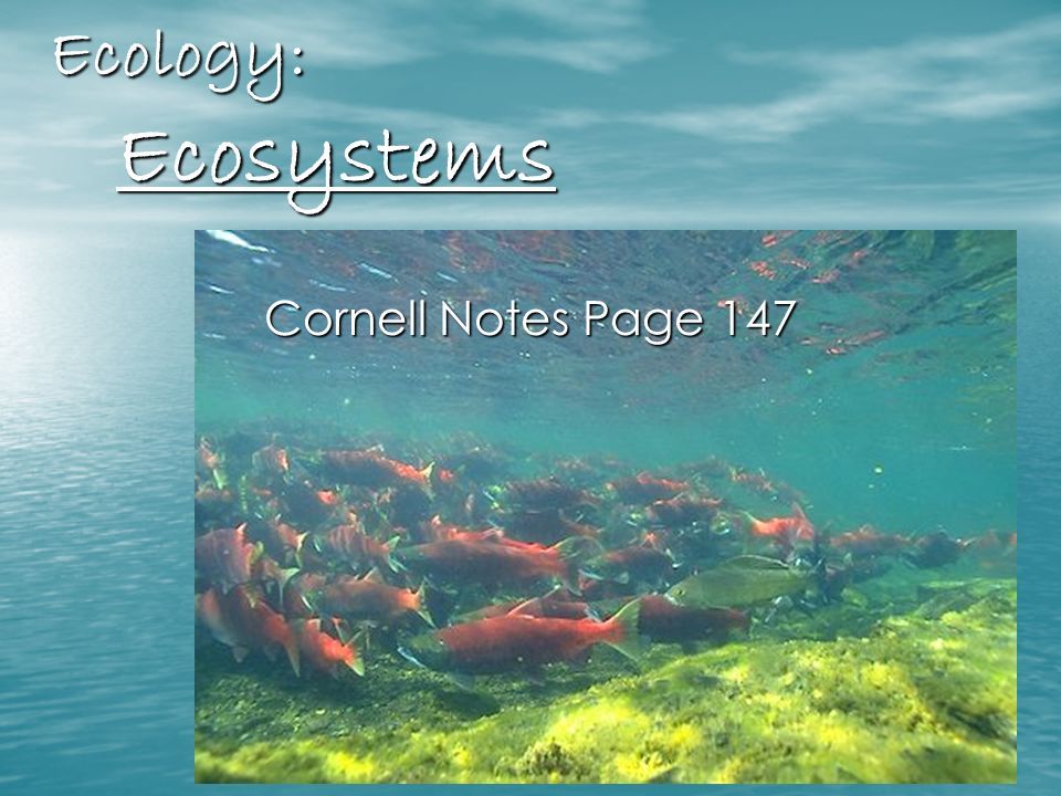 Ecology: Ecosystems Cornell Notes Page 147