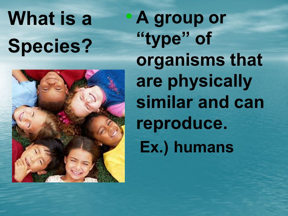 What is a Species. A group or type of organisms that are physically similar and can reproduce.