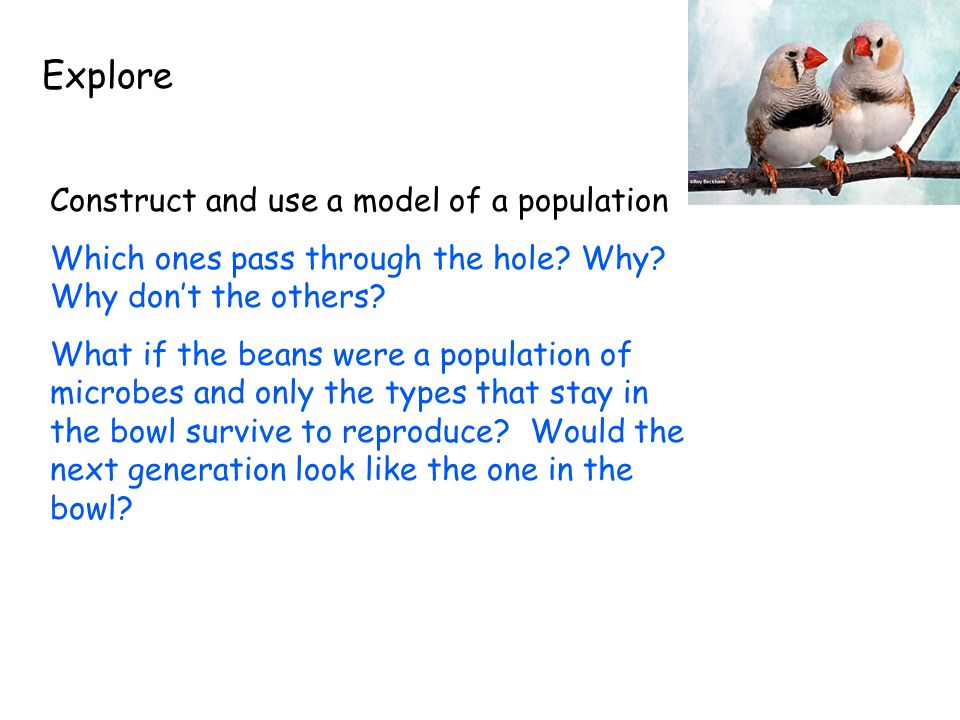 Explore Construct and use a model of a population