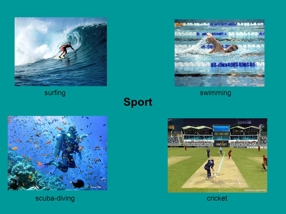 surfing swimming Sport scuba-diving cricket