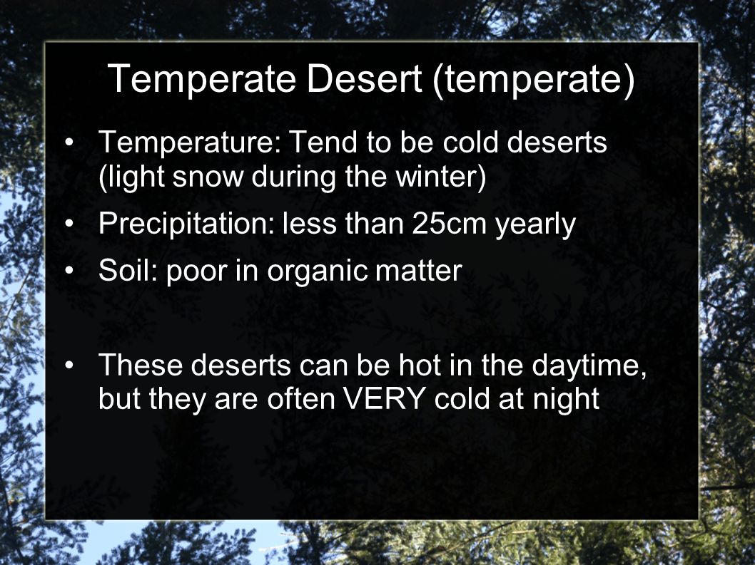 Temperate Desert (temperate)