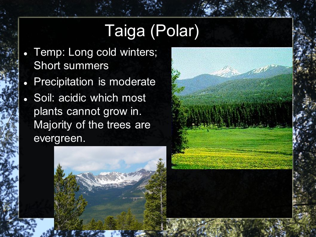 Taiga (Polar) Temp: Long cold winters; Short summers