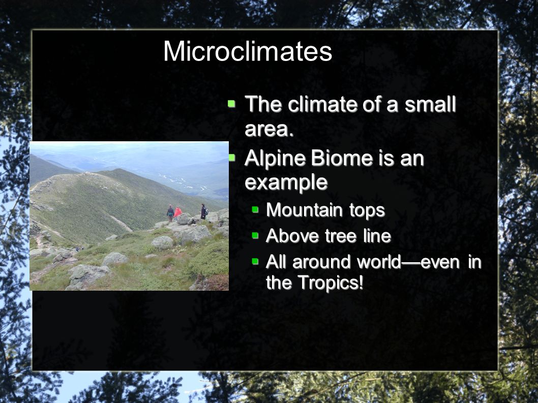 Microclimates The climate of a small area. Alpine Biome is an example