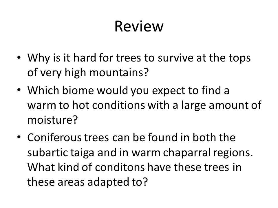 Review Why is it hard for trees to survive at the tops of very high mountains
