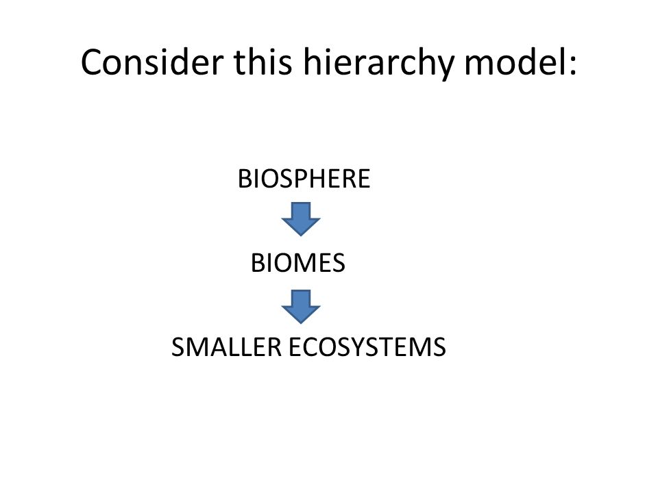 Consider this hierarchy model: