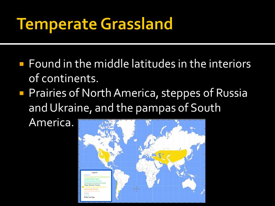 Temperate Grassland Found in the middle latitudes in the interiors of continents.